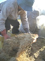 �u�݁v��t�ɏW�߂��ʂ�