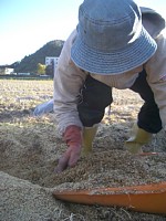 ������炵��