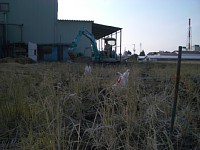 �����ɁA�͂�������܂�