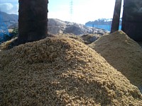 �Ă��ʂ��Â���