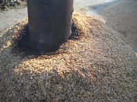 �Ă��Ă����܂�