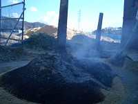 �Ă��Ă��܂���