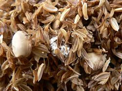 �哤�Ŕ��y���i