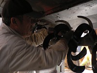 ���[�^���[�܌���