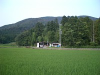 �c��ڂ̗��R