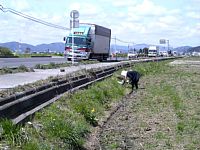 ���H�����̓c���