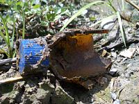 ���ꂽ�r��