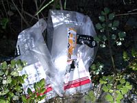 ���ɂ���̕��