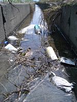 ��Ɏ̂Ă�ꂽ�S�~