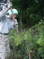 �Y��ł����݂܂�1