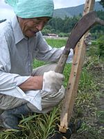 �i�^�ōY�̐���炵�܂�