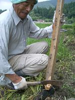 �i�^�ōY�̐���点�܂�