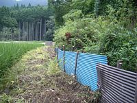 �g�^����̊���