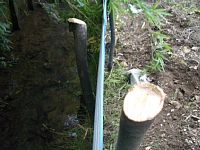 �؂Ɩ؂̊ԂɃg�^����