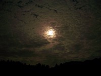 �s�C���ȁA��̌�