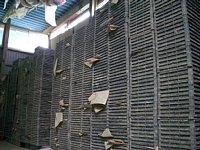 �c���̌Q��