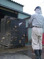 �O���������Ɛ􂢂܂�