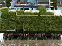 �c�A���@�㕔