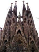 �T�O���_�E�t�@�~���A