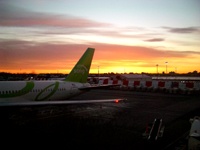 NY���K�[�f�B�A��`