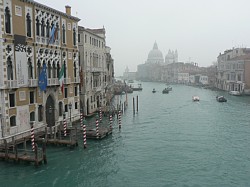 ���F�l�c�B�A�̉^��