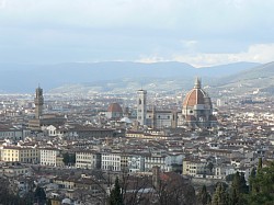 ���䂩�猩��t�B�����c�F�̒�����