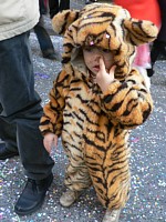 ���������q��