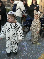 ���������q��