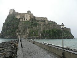 �A���S���̏�