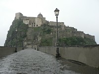 �A���S���̏�