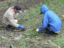 ���ނ���