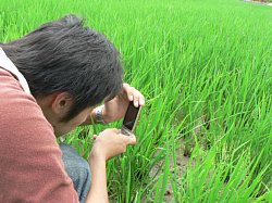 �c�A���C�x���g