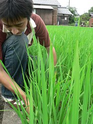 �c�A���C�x���g