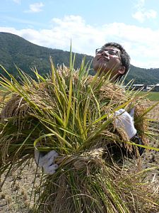 �_�Ƒ̌��i���C�x���g�j