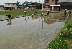 ��A���̓c���