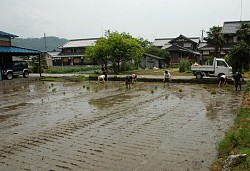 ��A���̓c���