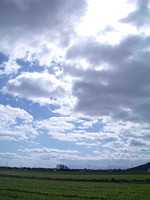 �����̑�n