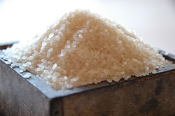 17�N�Y�A�V�Ă��������܂�