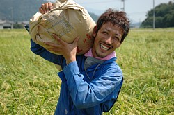 ���n�̊��