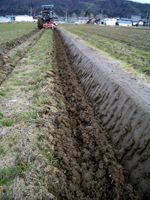 �܂������Ȍl