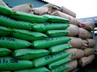 �哤�Ƃ悤���