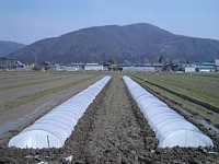 ��c�g���l��