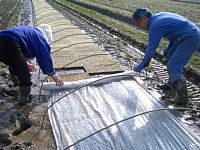 �L�E�}�b�g����