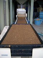 �c���̊���