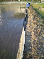 �l�ۂɉ����Čl�V�[�g