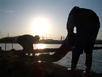 �l�V�[�g����