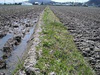 ���̐����΂�l��