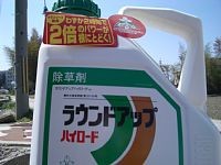 ���E���h�A�b�v