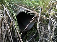 �r���p�C�v