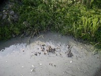 �����k�����l��